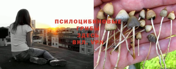 винт Арсеньев