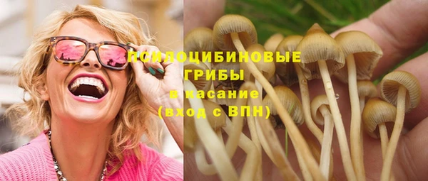 соль курить ск Алексеевка