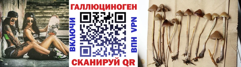 Галлюциногенные грибы мухоморы  Байкальск 